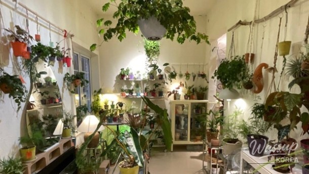 Transforming Your Weekend: Discovering Busan's Home Cafe Scene_04
