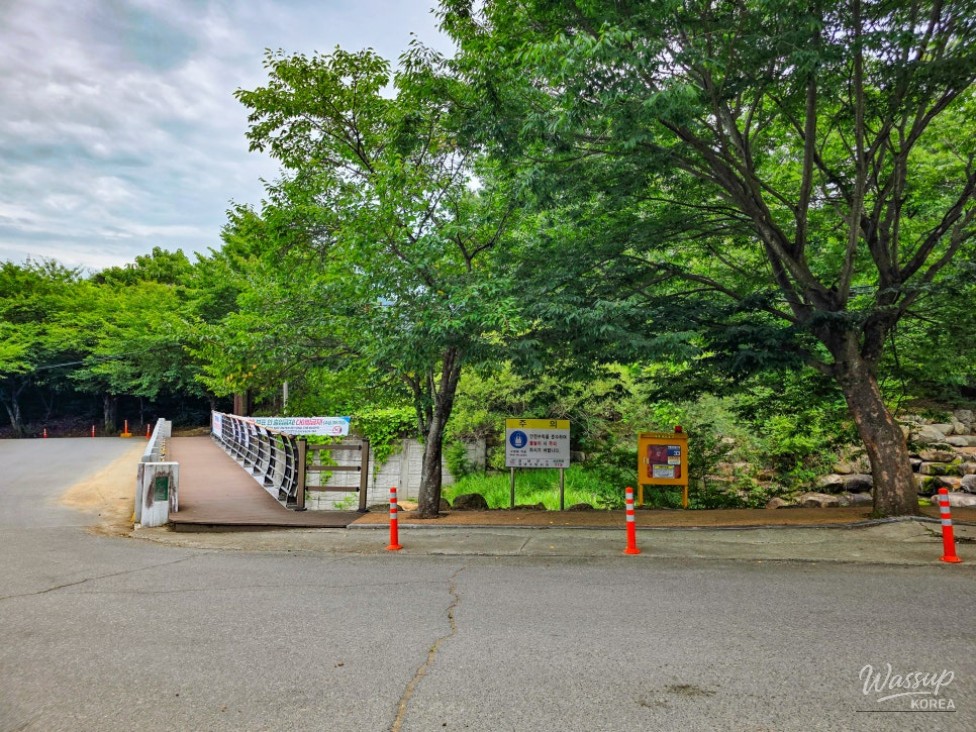 Exploring Changnyeong Okcheon Valley for Summer Fun_03