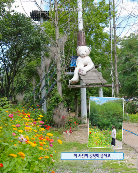 Discover the Joy of Nature at Gyeongju Healing Park_08