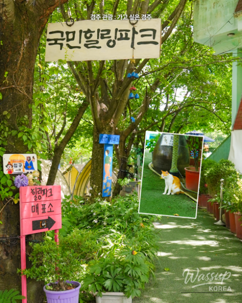 Discover the Joy of Nature at Gyeongju Healing Park_03