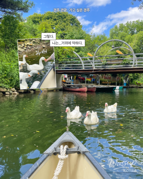 Discover the Joy of Nature at Gyeongju Healing Park_04
