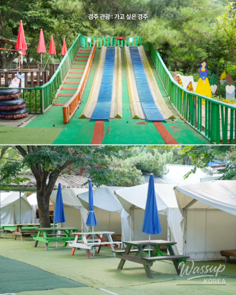 Discover the Joy of Nature at Gyeongju Healing Park_10