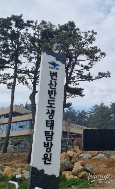 A Day in Nature at Byeonsan Peninsula Ecological Exploration Center_02