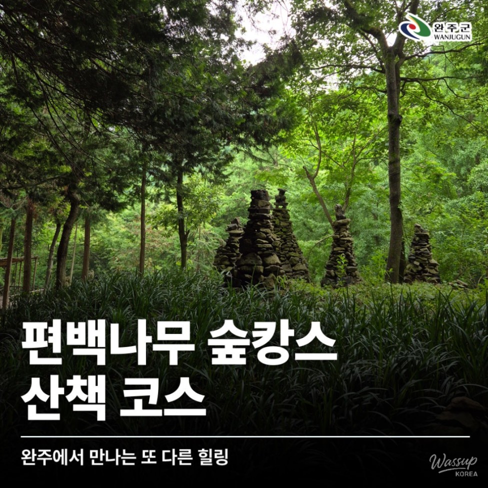 Discovering the Cypress Forest: A Perfect Getaway in Wanju_01