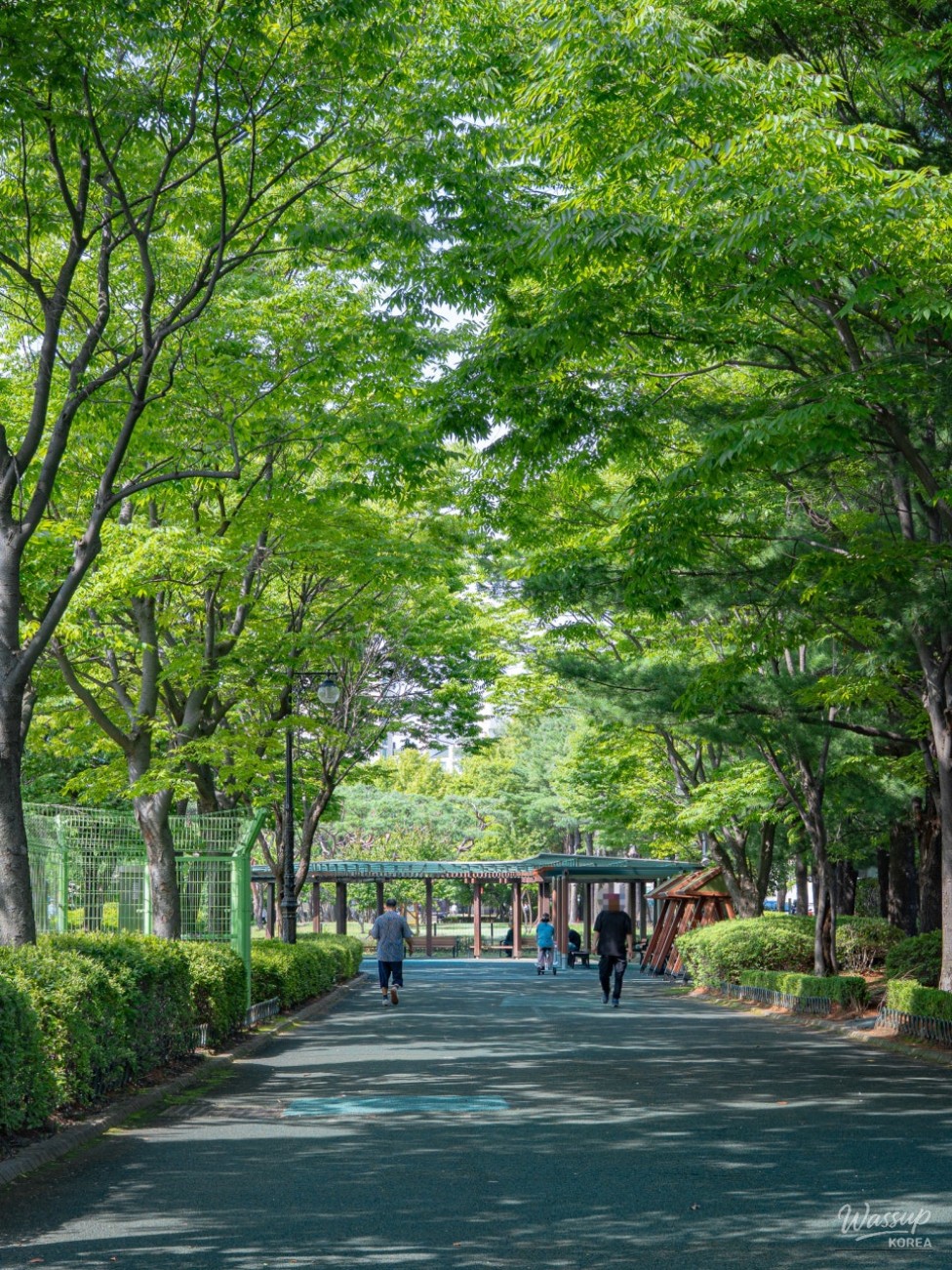 Refreshing Summer Fun at Jungsan Sports Park Water Playground_04