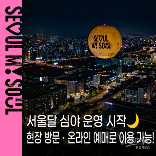 Enjoy Seoul's Night Views at SEOULDAL_01