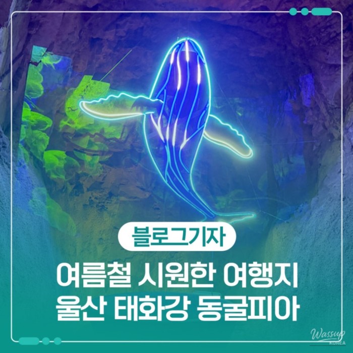 Exploring the Cool Escape of Taehwa River Cavepia in Ulsan2291