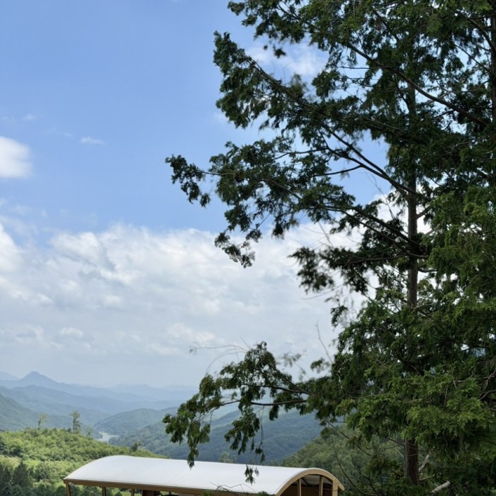 Exploring Geochang Forest Leisure Park4734