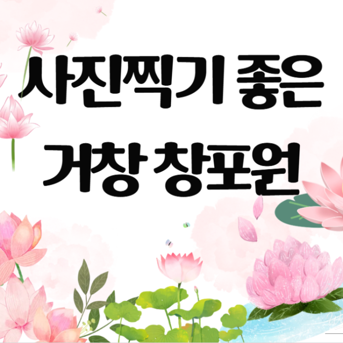 The Perfect Time to Visit Gochang Changpo Garden4733