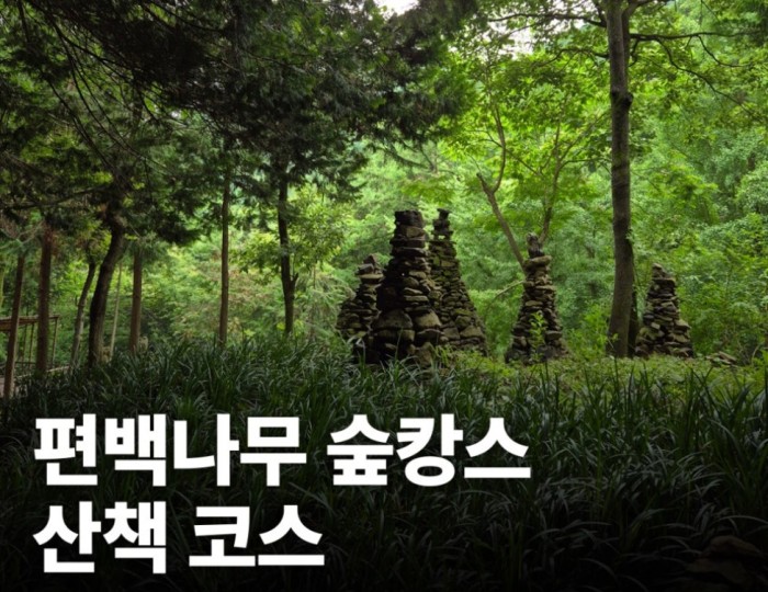 Discovering the Cypress Forest: A Perfect Getaway in Wanju float