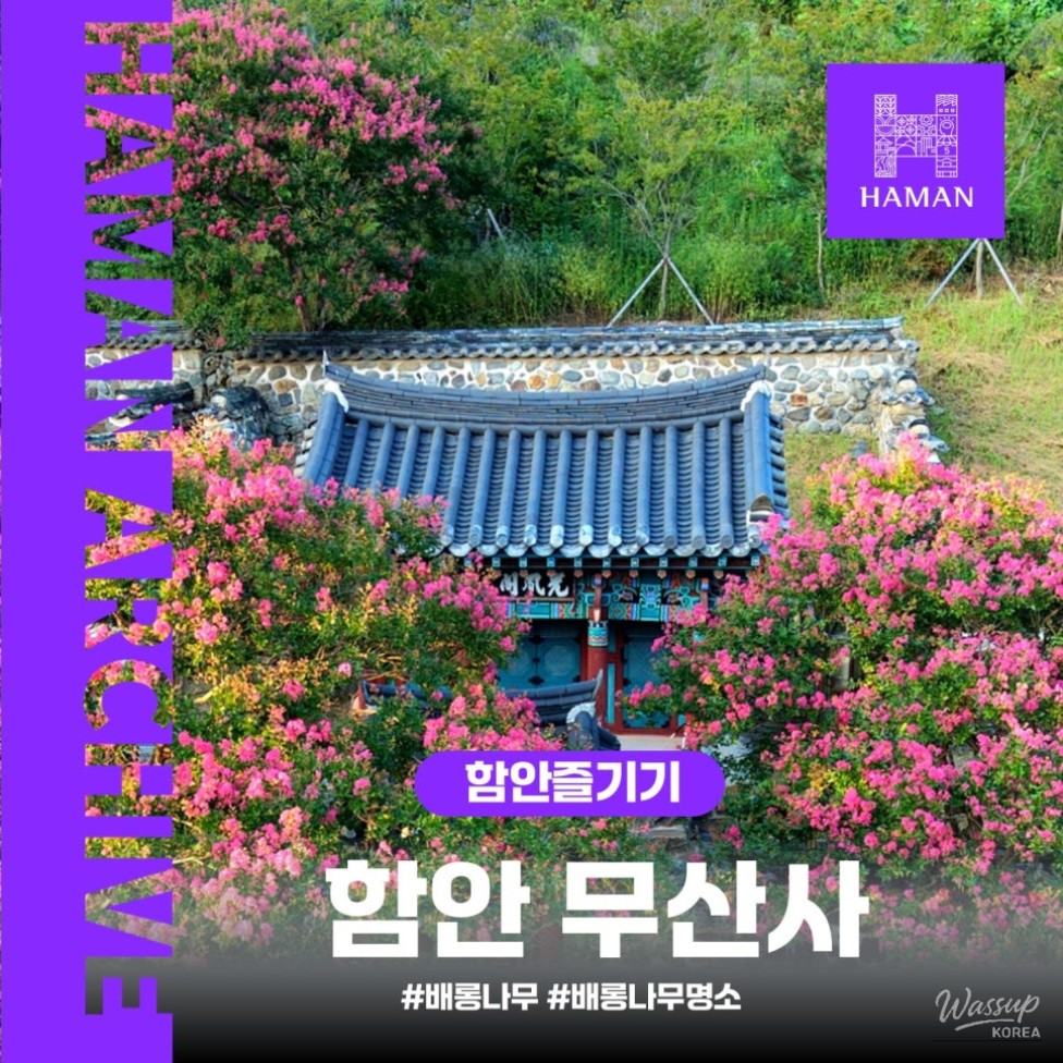 Musan Temple: A Serene Summer Retreat in Ham-an_01