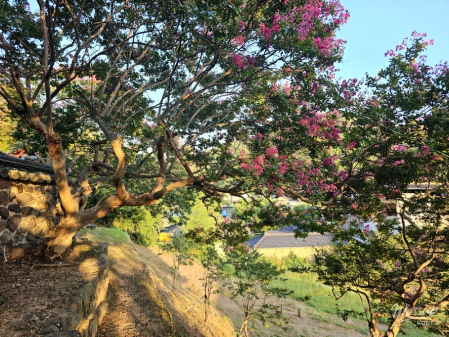Musan Temple: A Serene Summer Retreat in Ham-an_14