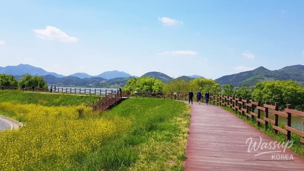 Spring Adventures in Changwon: A Guide to the Cherry Blossom Season_03