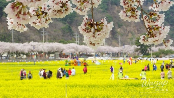 Spring Travel Destinations for Families in April_03