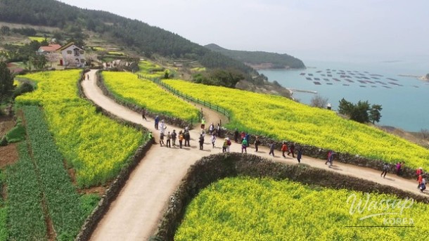 Spring Travel Destinations for Families in April_04