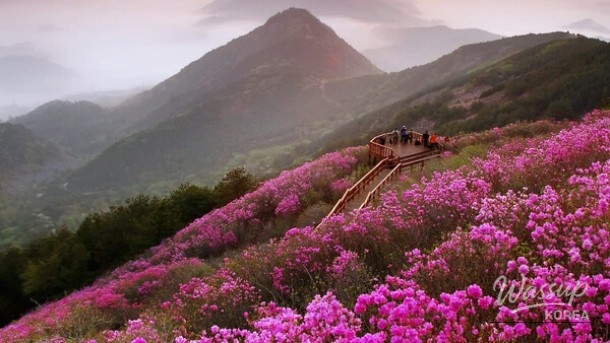 Spring Travel Destinations for Families in April_01