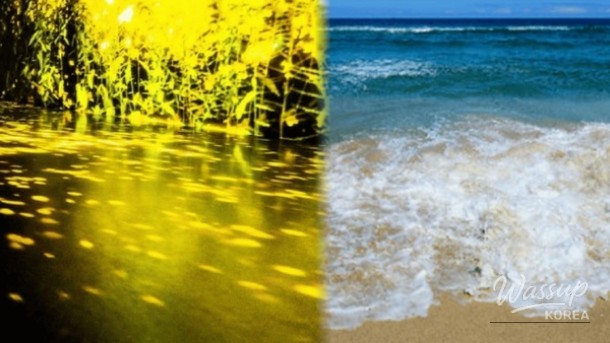 Exploring Gangneung: Top 4 Must-Visit Spots for a Day Trip_01