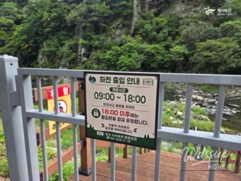 Recommended Travel Destination: Oesan Suribawi Camping Garden_20