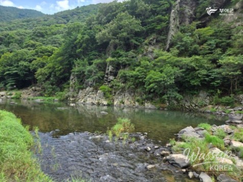 Recommended Travel Destination: Oesan Suribawi Camping Garden_11