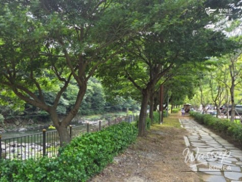 Recommended Travel Destination: Oesan Suribawi Camping Garden_12