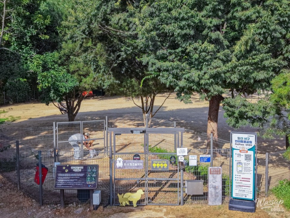 A Visit to Ilsanseo-gu Pet Park: A Happy Place for Pets and Their Owners_03