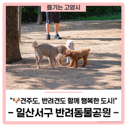 A Visit to Ilsanseo-gu Pet Park: A Happy Place for Pets and Their Owners_01