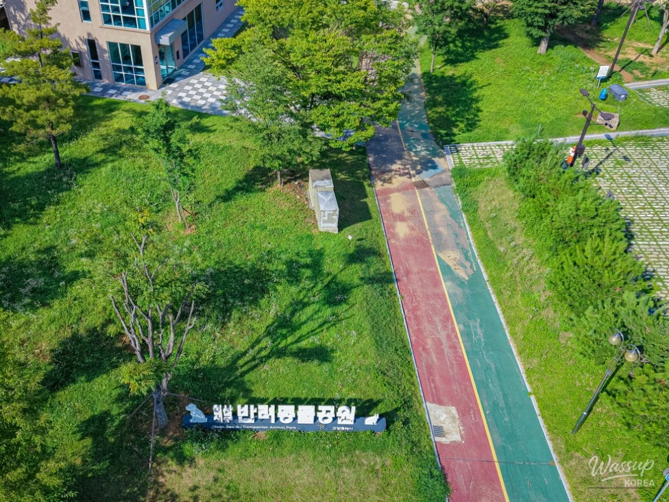 A Visit to Ilsanseo-gu Pet Park: A Happy Place for Pets and Their Owners_02