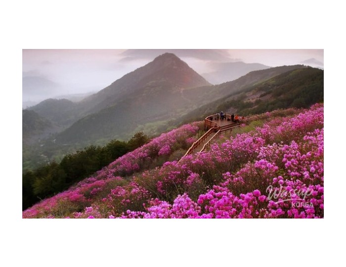 Spring Travel Destinations for Families in April float