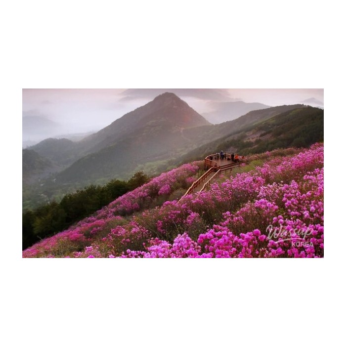 Spring Travel Destinations for Families in April4756