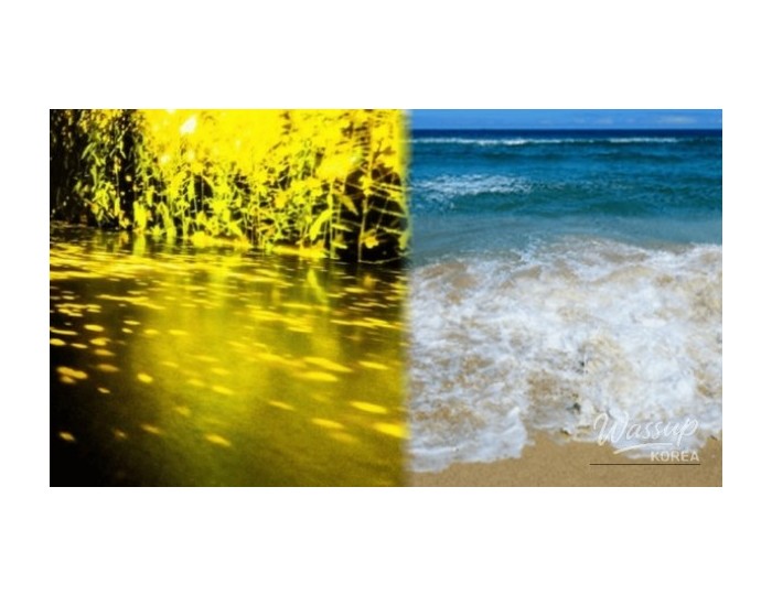 Exploring Gangneung: Top 4 Must-Visit Spots for a Day Trip float