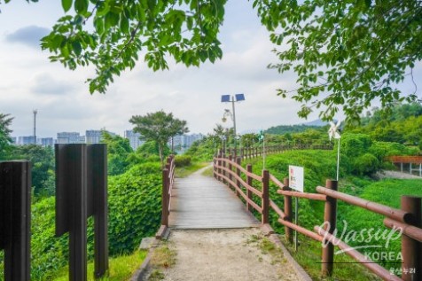 Exploring the Tranquil Huadong Reservoir Park in Ulsan_04