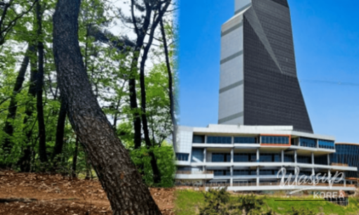Discovering the Hidden Gems of Daejeon in Spring_06