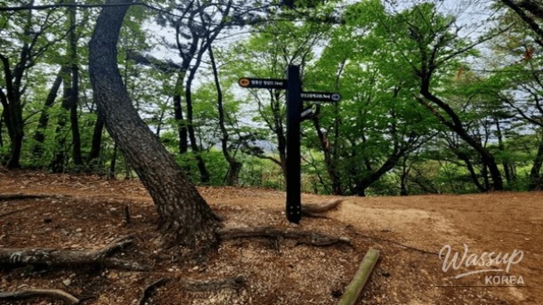 Top 4 Must-Visit Places in Changwon After Cherry Blossom Season_05