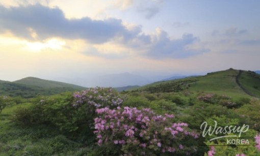 2026 Japan Rainy Season Forecast by Region_09