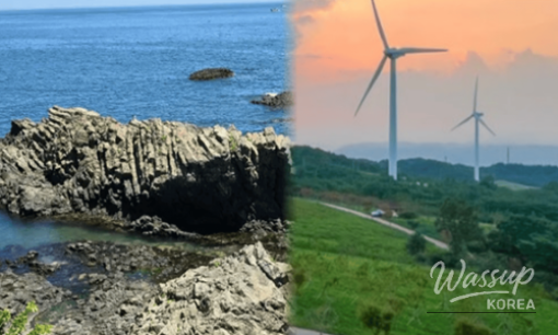 Top 4 Healing Spots in Gyeonggi-do for a Day Trip in Early April_06