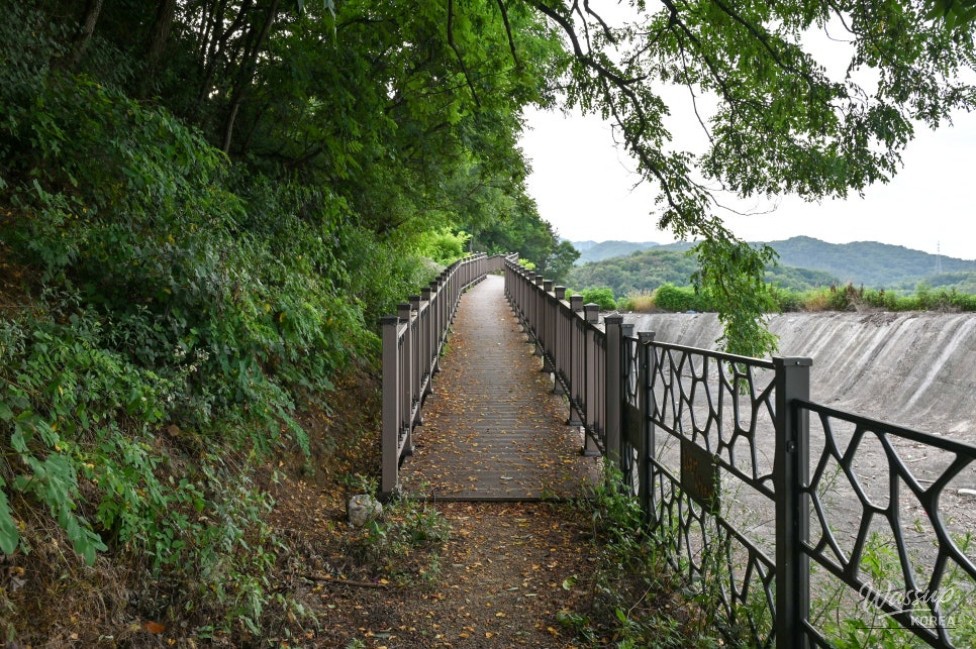 Discovering the Hidden Gem of Guam Reservoir in Jincheon_09