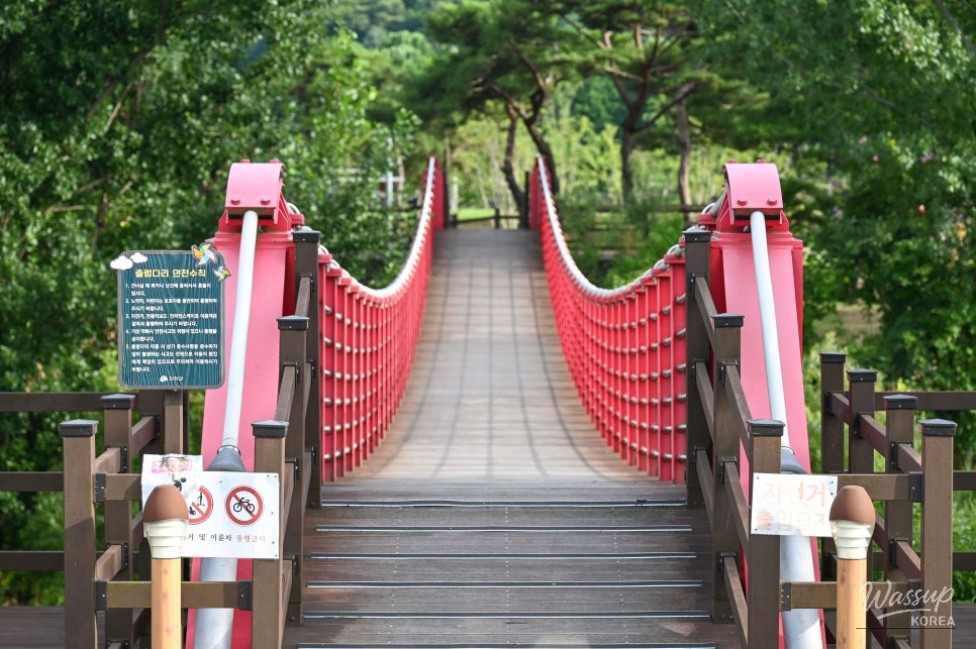 Exploring Jincheon: A Perfect Summer Getaway_09