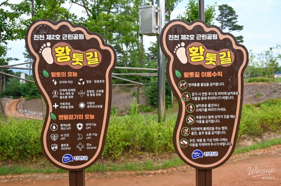 Exploring Jincheon 2nd Neighborhood Park: A Hidden Gem for Relaxation_11