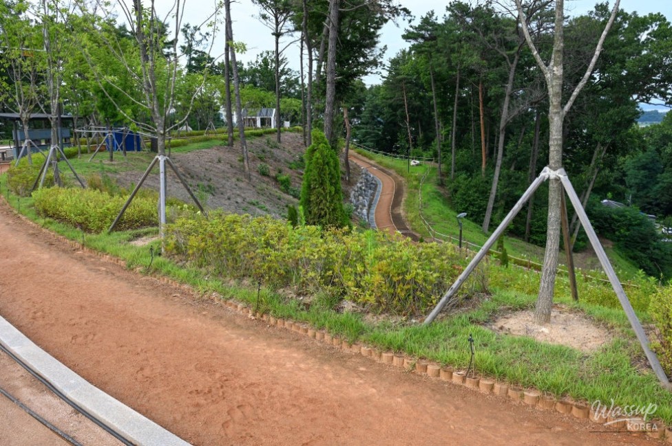 Exploring Jincheon 2nd Neighborhood Park: A Hidden Gem for Relaxation_10