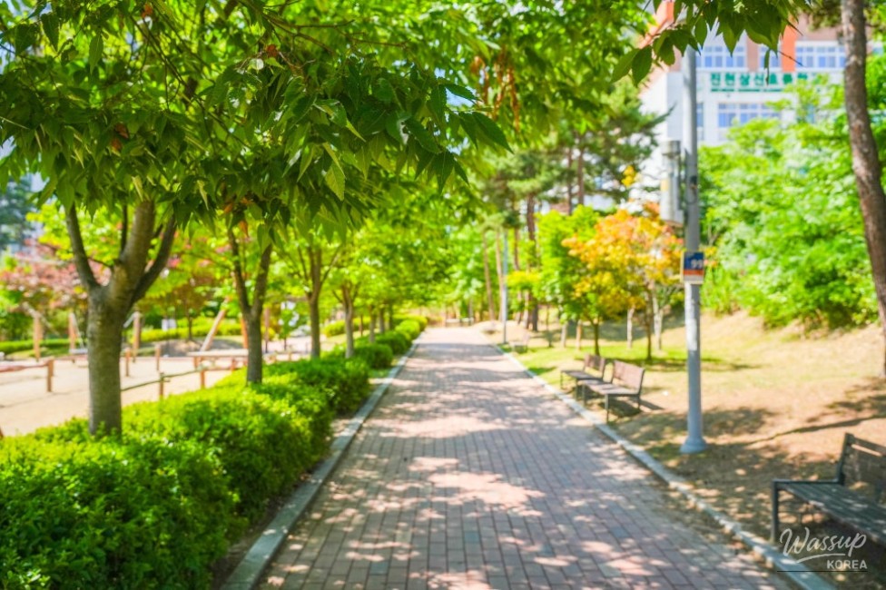 Exploring Yeonaduri Park: A Family-Friendly Oasis_06