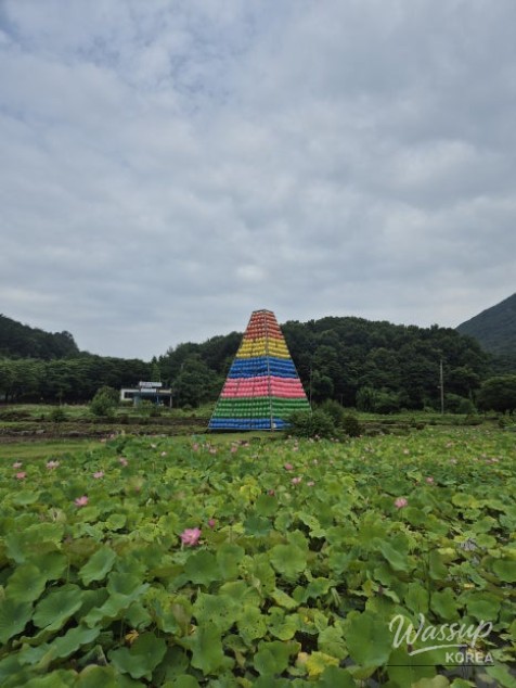 Healing Walk at Songgwangsa Temple in Wanju_03