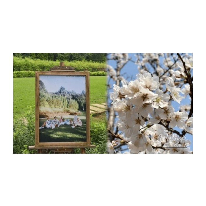 Top 4 Healing Spots in Gyeonggi-do for a Day Trip in Early April4772