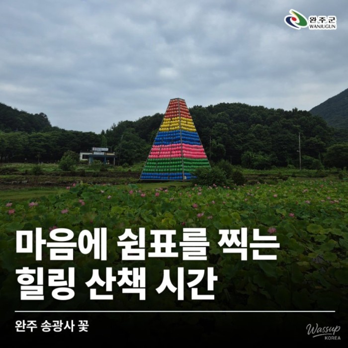 Healing Walk at Songgwangsa Temple in Wanju462