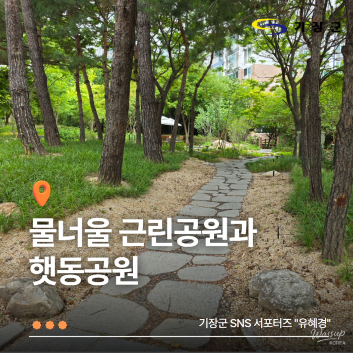 Exploring Mulneoul Park and Haetdong Park in Busan2313
