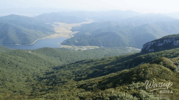 Exploring Haenam: Top 4 Must-Visit Places in Spring_04