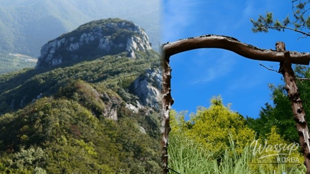 Exploring Haenam: Top 4 Must-Visit Places in Spring_01