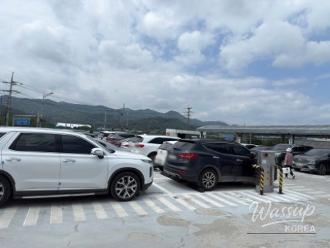 Exploring the Vibrant Seongju Traditional Market_04