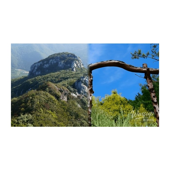 Exploring Haenam: Top 4 Must-Visit Places in Spring4787