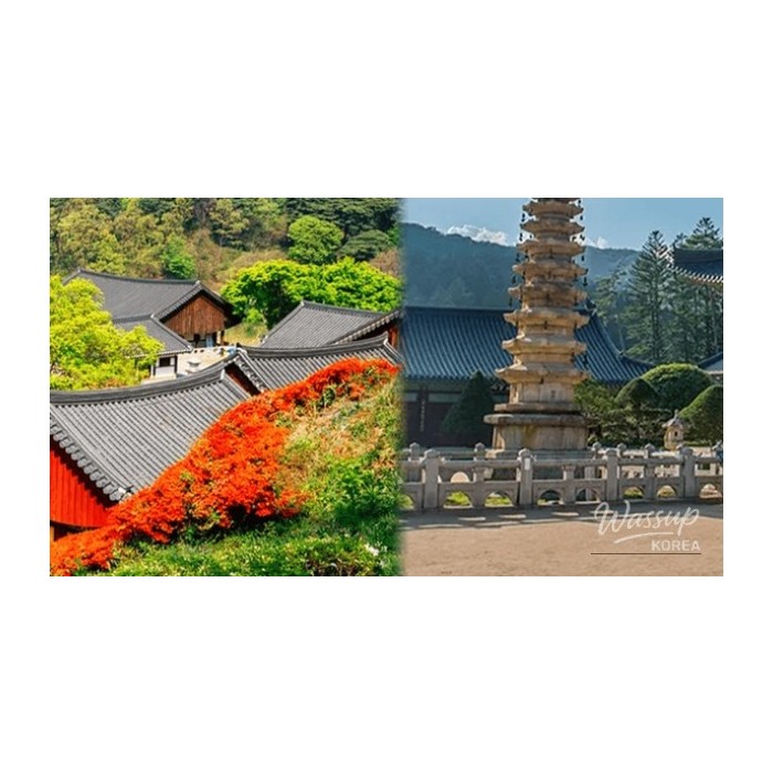 Top 4 Tranquil Temples to Visit in April4786