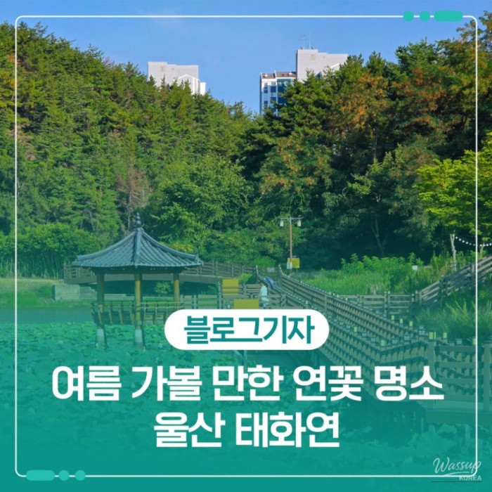 A Summer Stroll at Taehwa Lake in Ulsan2325